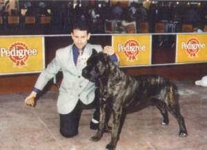 ettore.jpg